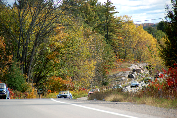 The group taking a turn in the road