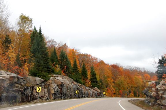 The west side of Algonquin Park and the beginning of what we came to see