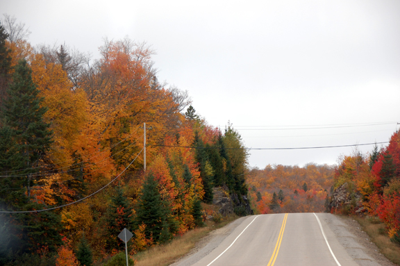 Algonquin Park