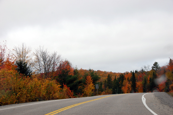 Algonquin Park