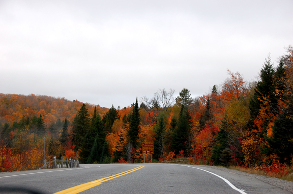 Algonquin Park