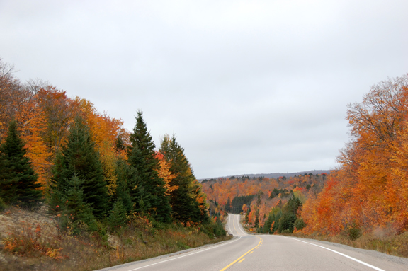 Algonquin Park
