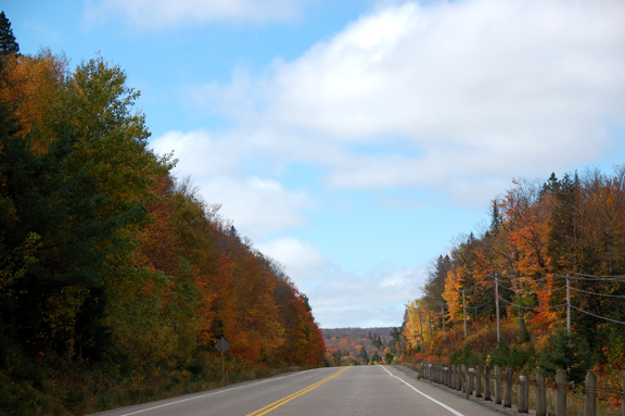 Algonquin Park, note the sun has come out