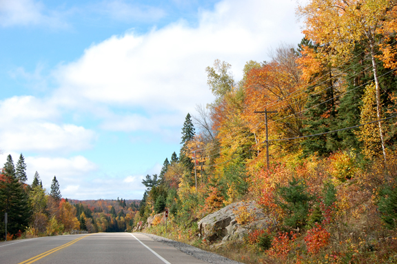 West side of Algonquin Park