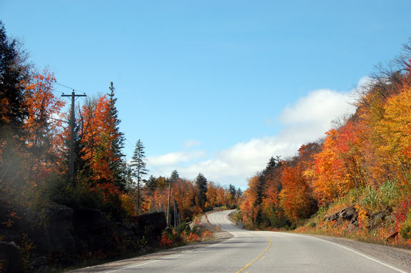 West side of Algonquin Park